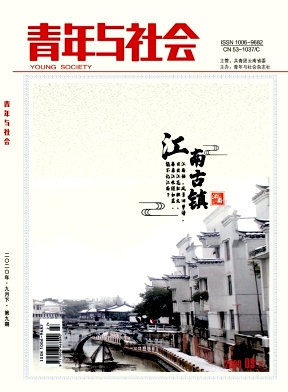 青年与社会